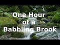 1 Hour of a Babbling Brook 💦 Sleep Sounds