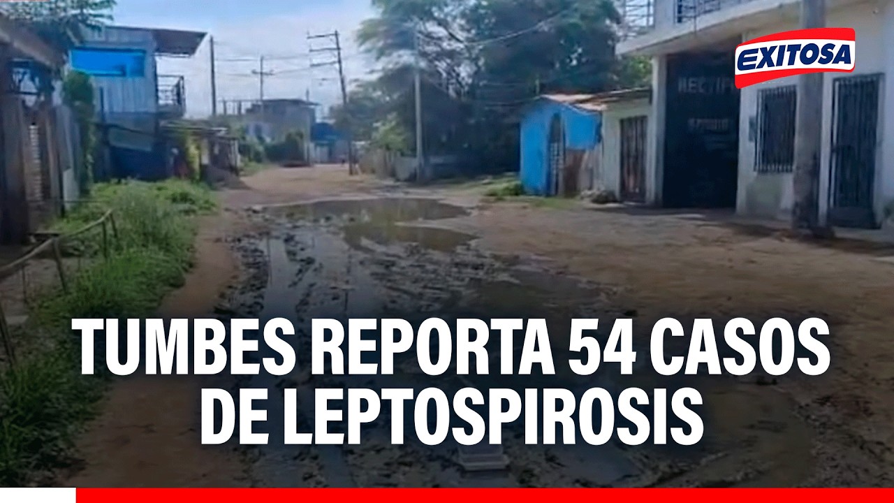 🔴🔵 Tumbes reporta 54 casos de leptospirosis: Una mujer fallecida a causa de esta bacteria