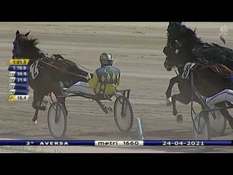 Aversa trotto 24 Aprile 2021 - 3° Corsa