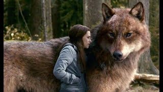 Twilight Wolves- Undefeated (Skillet)