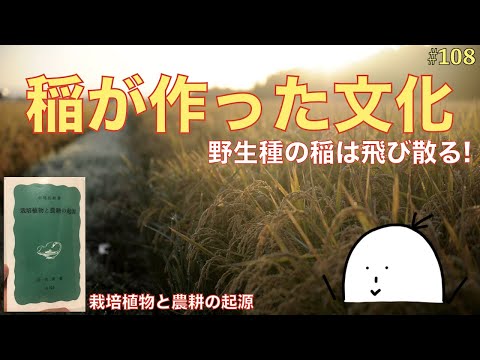 オノクレアについて詳しく解説