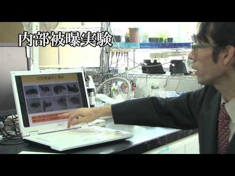 YouTube Preview Image