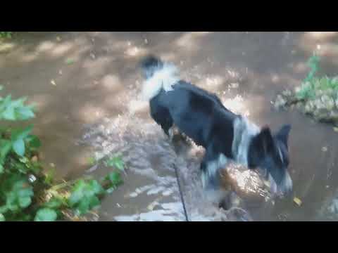Desde Hotel Rural Torreduratón: el buquerón. Valle Tabladillo.  19 Junio 2022