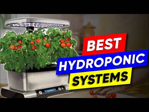 Top 3 Indoor Hydroponic Systems in 2024 👌