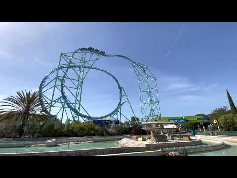 Electric Eel short video by Nathan Seidman
