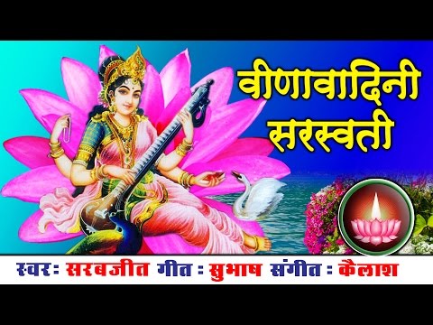 हे वीणा वादिनी सरस्वती, हंस वाहिनी - भजन