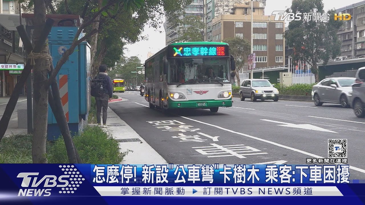 怎麼停!新設「公車彎」卡樹木 乘客:下車困擾