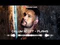 Calum Scott - Flaws