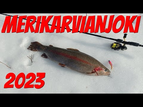 Kirjolohta | Merikarvianjoki 2023 | Spintube | Kalastus