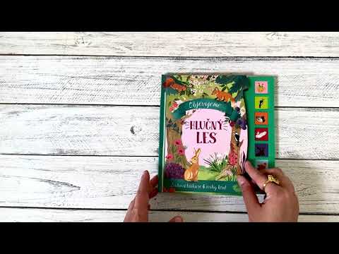 Objevujeme Hlučný les