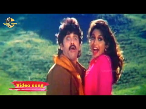 Jama Jama Telugu video Song |  Nagarjuna | Ramya Krishnan | M. M. Keeravani | Criminal song (2024)