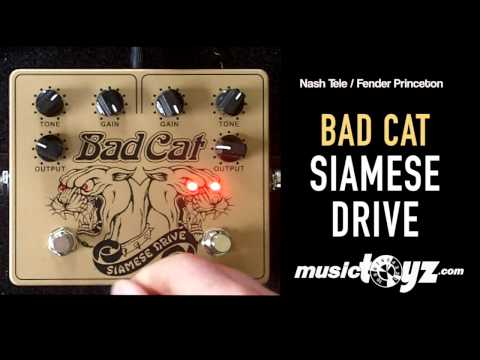 Bad Cat Siamese Drive