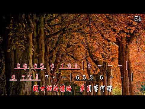 非常女 Eb