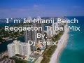 Dj Fenix - I´m In Miami Beach(Reggaeton Tribal ...