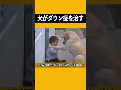 ダウン症の犬は存在するのでしょうか?