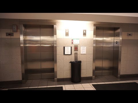 Scenic Schindler 400A traction elevators @ Tower Self Park, Chicago, IL