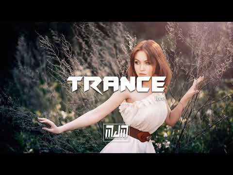 David Forbes pres. Hal Stucker - Stars (John Askew Remix)