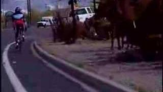 Marion Meadows - 1000 Dreams