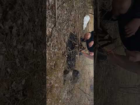 1parte de la palatca #Vacem Focul