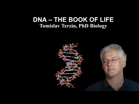 DNA - The Book of Life