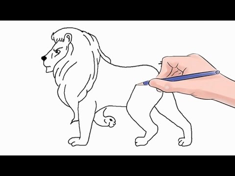 How to Draw a Lion Easy Step by Step - YouTube