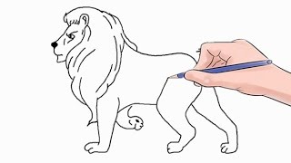 How to Draw a Lion Easy Step by Step