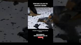 Download lagu TENTARA GAJAH VS BURUNG ABABIL mp3 Download lagu TENTARA GAJAH VS BURUNG ABABIL mp3