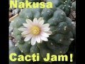 Nakusa Cacti Jam