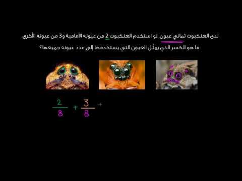 الصف الرابع الرياضيات الكسور مسألة عن جمع الكسور