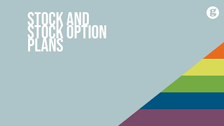 Stock and Stock Option Plans