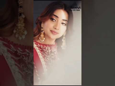 Anamsa 229 Heavy Pure Georgette Wholesale Pakistani Suit – product video thumbnail