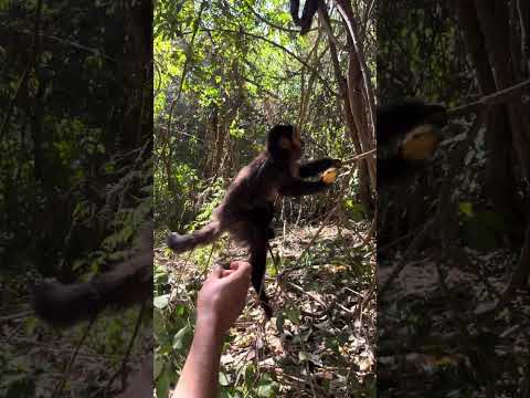 Parque ecológico de Ourinhos, São Paulo.
