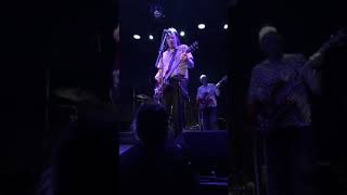 The Posies - Bowery Ballroom, NYC - 2018 - Precious Moments