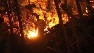 Catástrofe en Chile: 2.899 Km cuadrados de bosques fueron consumidos por el fuego