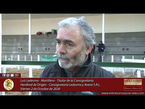 02-10-20   Luis Ledesma -  Hereford de Origen -  Consignataria Ledesma y Arana S R L - Tandil