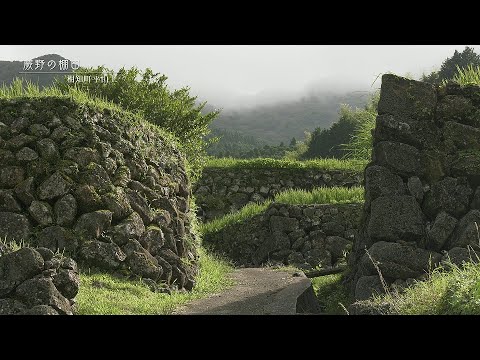 【佐賀県唐津市の風景：4K映像】蕨野の棚田【相知町平山上】(令和5年8月16日撮影）