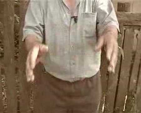 Clip mita electorala 2