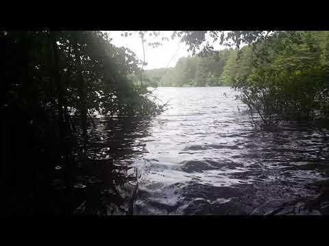 Gates Pond, Berlin, Massachusetts