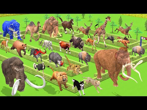 Maze Madness Race 23 Wild Animals, Which is the Fastest Animal? Animal Revolt Battle Simulator