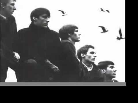 The Sonics - Have Love Will Travel