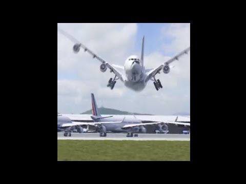 AIR FRANCE Plane Following A Bird - 3D Animation