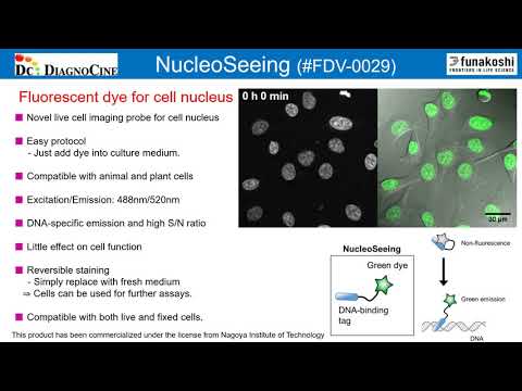 Unique "Imaging Reagents" Diagnocine 2019