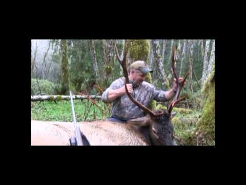 NA Super Slam - Tom's Final species Roosevelt elk