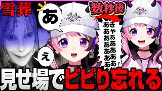 チラズアート最新作で驚き忘れるぷるる【雪葬】【天鬼ぷるる/切り抜き】