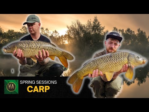 Carp Fishing - Spring Sessions (so many runs!)