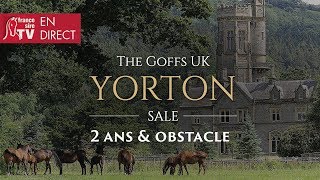 Goffs UK Yorton Sale 2019 - watch the full reply of the inaugural Yorton Sale 2019.