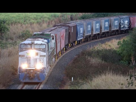 Trem na Ferrovia Norte-Sul em Guarani D'oeste