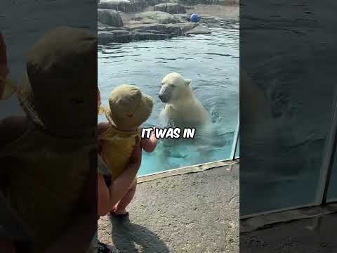 Polar bear attacks baby at zoo 😱