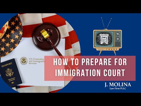 How to Prepare for Immigration Court | J. Molina Law Firm