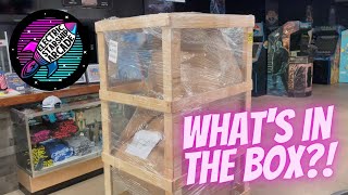 What's in the box?!
